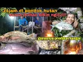Download Lagu Untung terekam lagi❗suara jeritan bikin ngilu!! 24jam dipondok hutan buru predator sungai