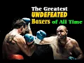 The Greatest Undefeated Boxers EVER List of undefeated world boxing champions