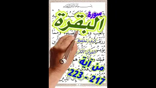 سورة البقرة من الاية 217 الى الاية 223 بخط المصحف الكبير لسهولة الحفظ والمراجعة 