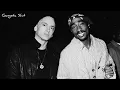 Without Me - Eminem Feat. 2Pac (Remix)