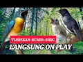 Download Lagu TERBUKTI AMPUH, MERANGSANG EMOSI TLEDEKAN GUNUNG, SRDC DAN KACER
