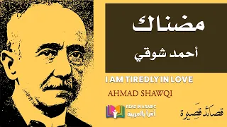 أحمد شوقي  مضناك بصوت  نزار طه حاج أحمد                            دندنها