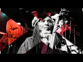 The Skatalites: Don De Lion - Guns Fever - Musical Communication