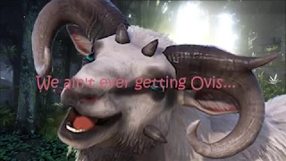 Backseat Of Your Diplo A Bearded Kitty Ballet Closer Parody 