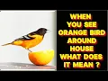 Lagu WHEN YOU SEE AN ORANGE BIRD AROUND YOUR HOUSE WHAT DOES IT MEAN ?