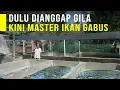 Lagu Peluang Usaha Ikan Gabus, Ikan Sejuta Manfaat dan Harga Jual Tinggi