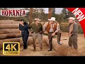 Download Lagu Bonanza 2025 | Part 34 | | Western Series | FULL EPISODES | The Best Cowboy TV Series 2025
