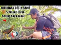 Download Lagu Anti Zong‼️Suara Pikat Burung Kareo Sulawesi Paling Ampuh | Pikat Hama Tengkoah
