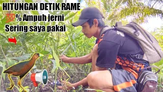 anti zong suara pikat burung kareo sulawesi paling ampuh pikat hama tengkoah