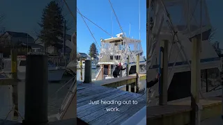 When the tide is super low. #shorts