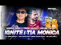 DJ Ignite x Tia Monica ( Trend Velocity Melodi Tiktok ) Sek Asek Asek - Kinar Project