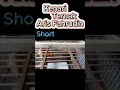 Lagu Burung Kenari Short 2