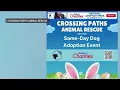 Crossing Paths Animal Rescue to hold adoption event in Newtown