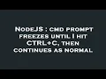 NodeJS cmd prompt freezes until I hit CTRL C then continues as normal
