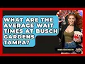 What Are The Average Wait Times At Busch Gardens Tampa - Insider Theme Park Tips