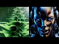 Alien OG strain review