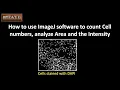 How to use ImageJ software to count Cell numbers analyze Area and the Intensity