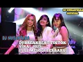 Download Lagu DJ BREAKBEAT FULL BASS 2025 - DJ MELODY TERBARU BIKIN GOYANG