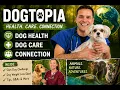 Take a Look Inside Dogtopia -