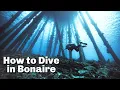 Download Lagu How to Dive in Bonaire | East Coast Diving Bonaire