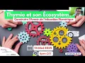 Webinaire Thymio et son ecosysteme