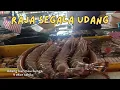 Download Lagu RAJA SEGALA UDANG. UDANG HARIMAU BUNGA 4 EKOR SEKILO. HARGA MESTI HAMPA TAK SANGKA HANYA .......