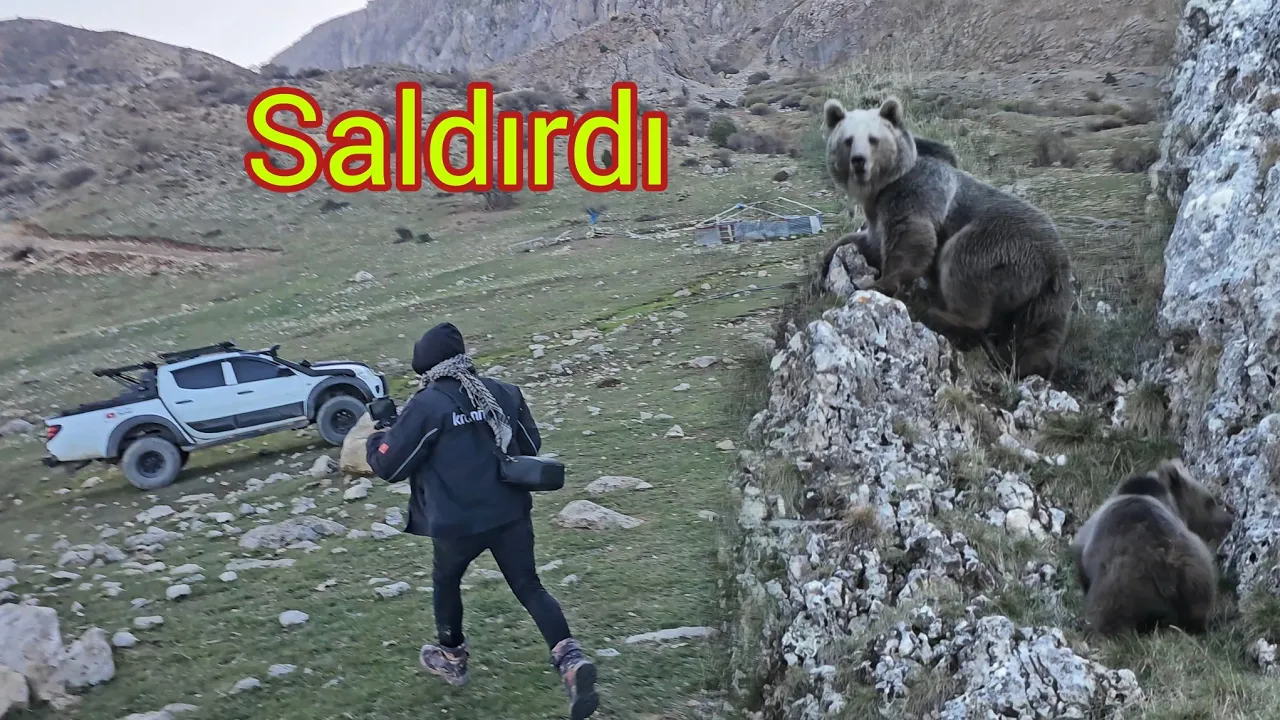 AYI AĞAÇLARI KIRARAK ÜZERİMİZE KOŞTU ARABAYA ZOR KAÇTIK ~TAM HERŞEY BİTTİ DERKEN YİNE GELDİ