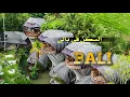اين تسكن فى جزيرة بالي where to stay in bali island