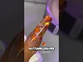 Autumn Nail Art