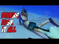Divers risk it all - photoshoot with massive bait ball RAW POV