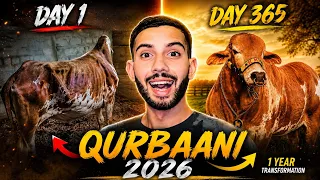 qurbaani 2026 1 year transformation journey