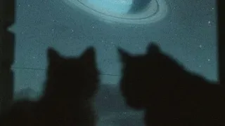 مياده الحناوي الحب يبان في عيوني بدون موسيقي وكتير بتفوتني وافوتك 