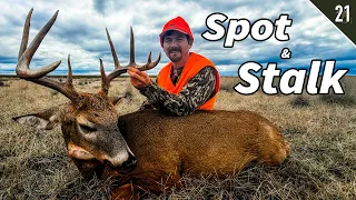 We Snuck to 20 Yards of this Bedded Buck!!