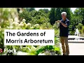 Download Lagu From ESTATE to PUBLIC GARDEN: A Journey Through the Gardens of MORRIS ARBORETUM — Ep 328