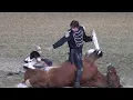 Lagu De grappigste paardenact ooit! Tommie Turvey en Pokerjoe..