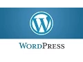 WordPress Troubleshooter Missing Visual Editor