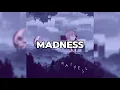 STIM - madness (Official Lyric Video)