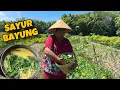 Lagu MASAK LEMBAYUNG SEGAR LANGSUNG PETIK DARI SAWAH