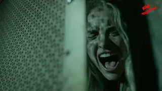 مجموعه شباب عايزين يحتفلو بليله رأس السنه فى بيت مهجور وياريتهم مادخلو ملخص فيلم 