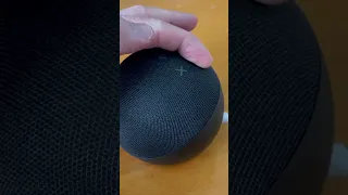 Factory Reset Amazon Echo Dot 