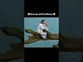 Download Lagu 😍Sirf tum😁#sushmitasen #johnylever #sirftum #priyagill #salmankhan #sanjaykapoor  #jackieshroff #DS