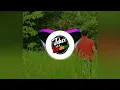 Download Lagu Joget - Kucing Garong Remix 2020