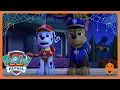 PAW Patrol - 👻 Laba-laba Menakutkan 🎃 | Kompilasi Musim 9 | WildBrain Bahasa Indonesia