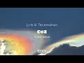 Download Lagu Co2 - Prateek Khulad (lirik dan terjemahan)