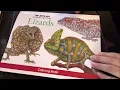 Flip-Through of Lizards Coloring Book by Tim Jeffs