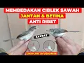 Download Lagu CARA MEMBEDAKAN CIBLEK SAWAH JANTAN \u0026 BETINA ANTI RIBET❗CUKUP LIHAT 1 BAGIAN INI❗