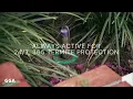 Texas Termite Control Sentricon GGA Pest Management
