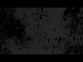 Stephan Moccio - Fracture
