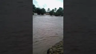 الجديد في موريتانيا وخاصة في النعمة 