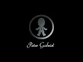 Peter Gabriel - The Drop (Special)